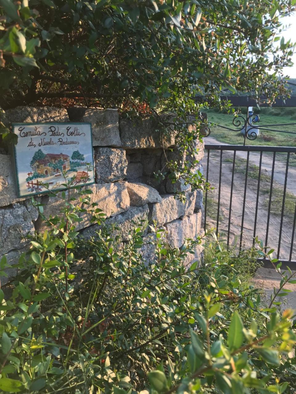 Villa Peditoltu Olbia Esterno foto